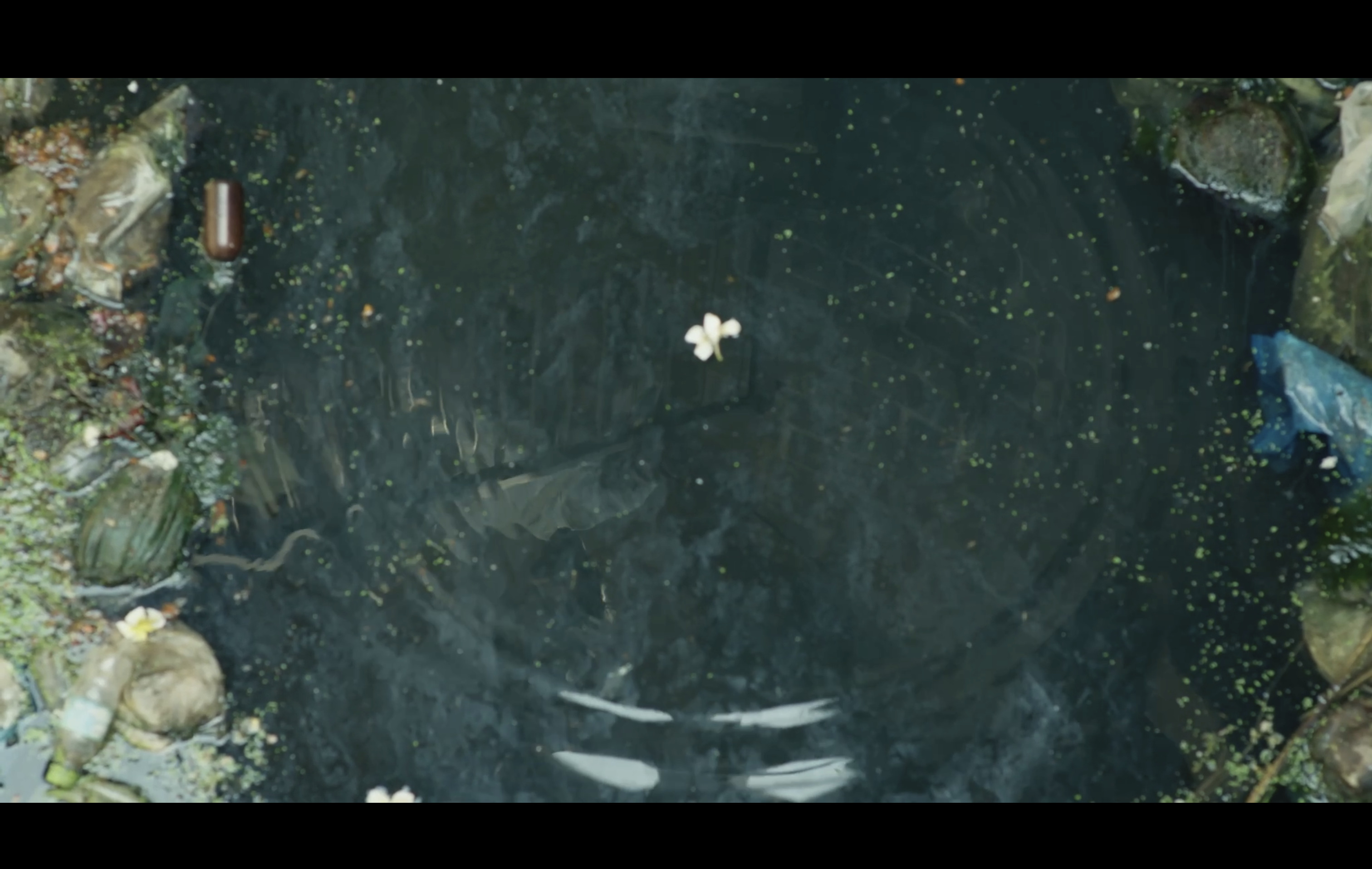 SHUBHAM DATTATRAY BURUTE