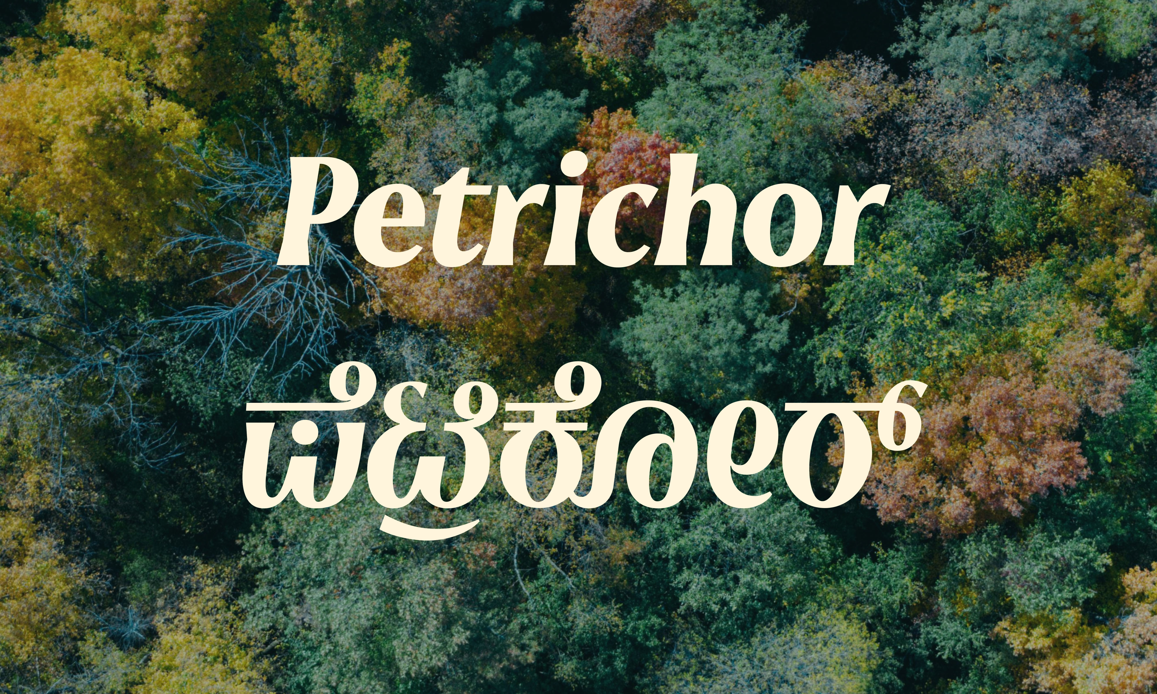 RIYA DIPENDRA WAYKAR