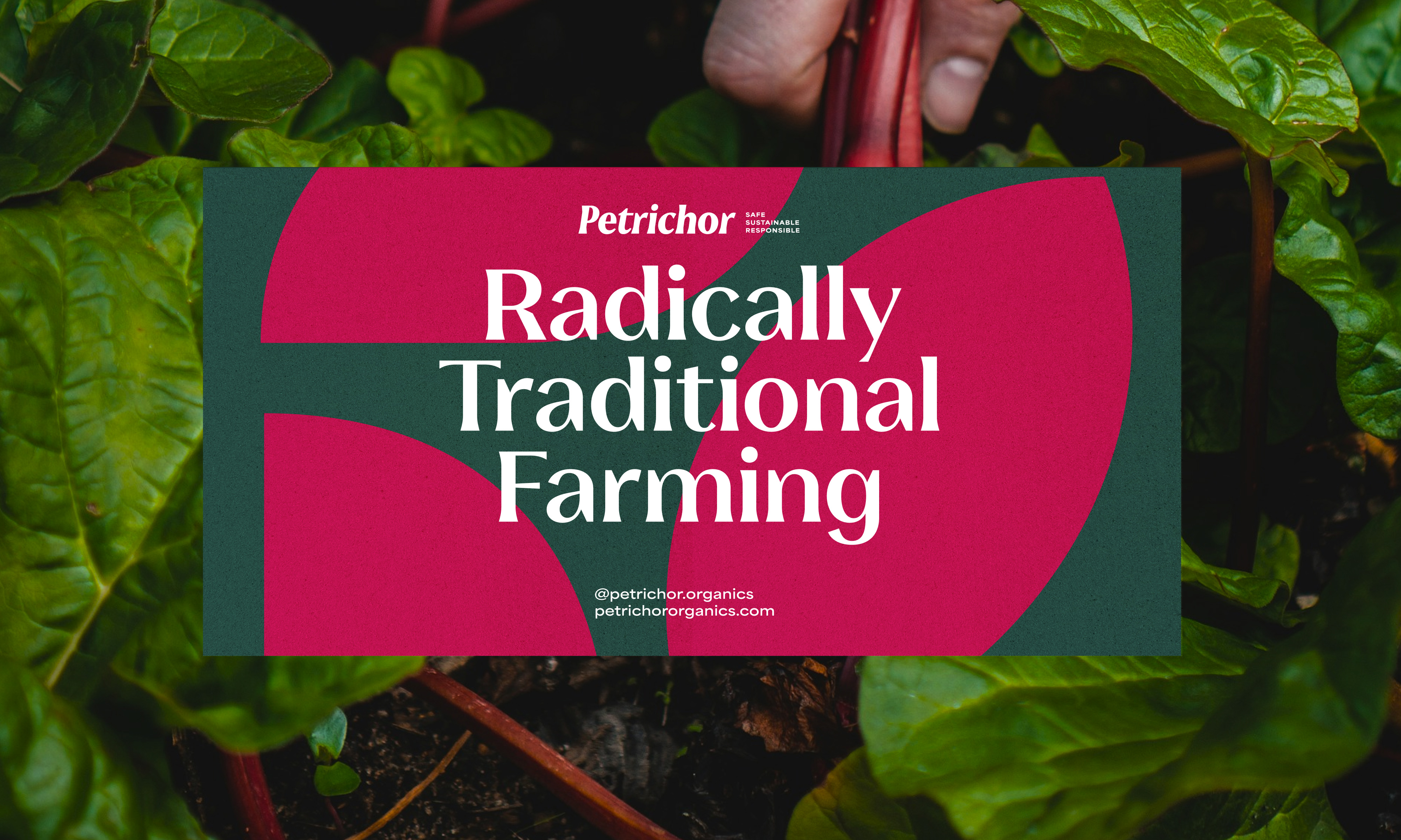 RIYA DIPENDRA WAYKAR