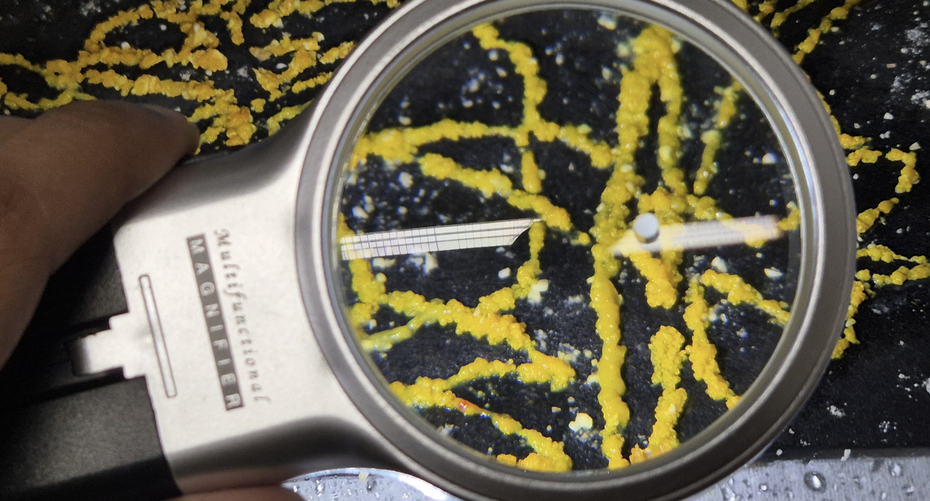 ANUSHKA DEEPAK  SHINDE