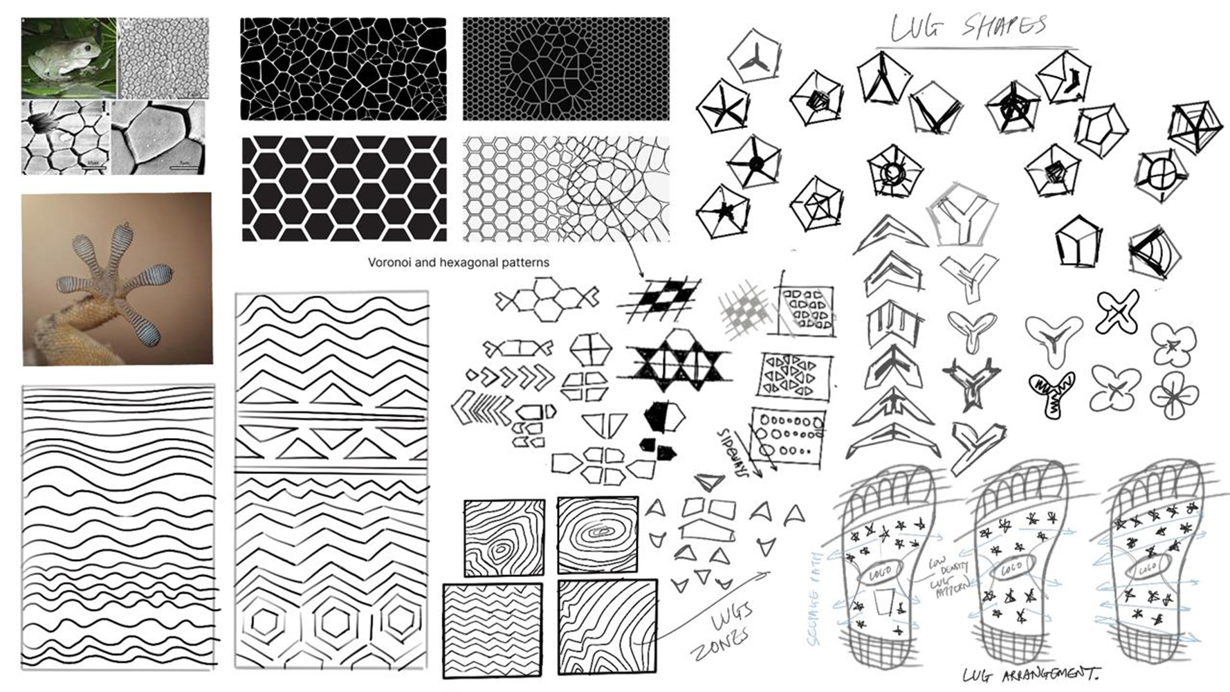 SHAUNAK SHREEPAD  GOKHALE